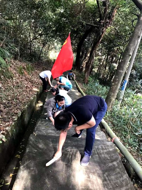 陳宏金：不忘初心 牢記使命，永春分公司組織機關黨員清理上下班臺階的青苔1.jpg
